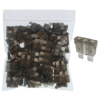 100 x Flachstecksicherung 2A / 32V / grau