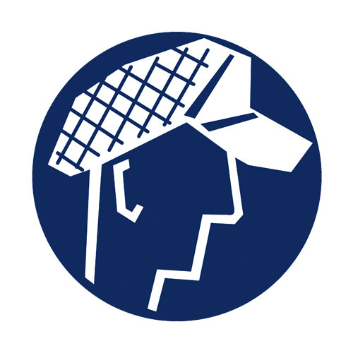 Gebotszeichen Schutzhaube benutzen Folie selbstklebend 315 mm