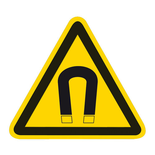 Warnung vor magnetischem Feld Kunststoff 200 mm