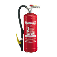 FLN Neuruppin ABC-Pulverfeuerlöscher PG 6 FAiN  6 kg