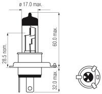 Plus 120% H4 P43t Doppelpack