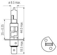 Halogen Lampen - H1 P14, 5s