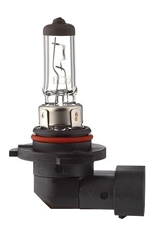 Halogen Lampen - H10 PY20d