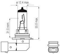 Halogen Lampen - H10 PY20d