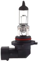 Halogen Lampen - H12 PZ20d