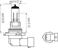 Halogen Lampen - H12 PZ20d