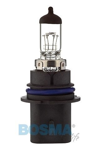 Halogen Lampen - HB1 P29t