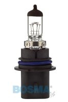 Halogen Lampen - HB1 P29t