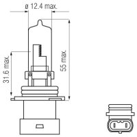 Halogen Lampen - HB3A XS P20d