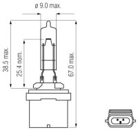Halogen Lampen - PG 13
