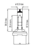 Halogen Lampen - PG13 Black Top